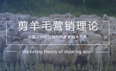 剪羊毛营销理论是什么意思,剪羊毛经济原理