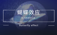 蝴蝶效应是什么意思, 蝴蝶效应的现实例子