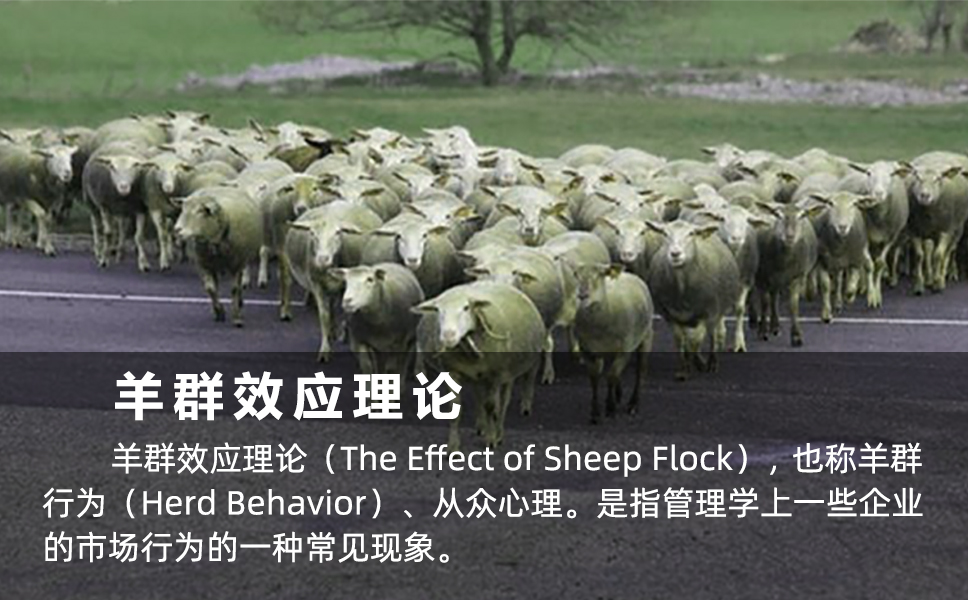 羊群效应理论