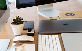 我的小狐狸钱包为啥没有自定义，为什么我的小狐狸钱包没有自定义功能？深度解析与未来展望